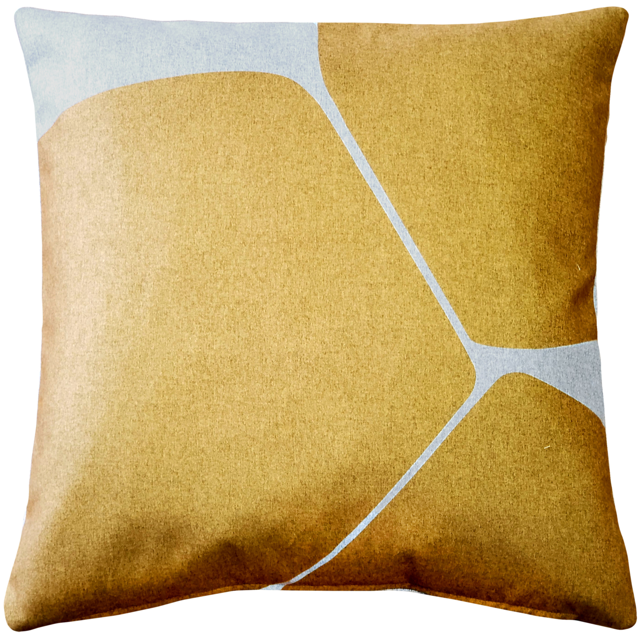 Aurora Renaissance Gold Throw Pillow 19x19 Inches Square, Complete Pillow with Polyfill Pillow Insert