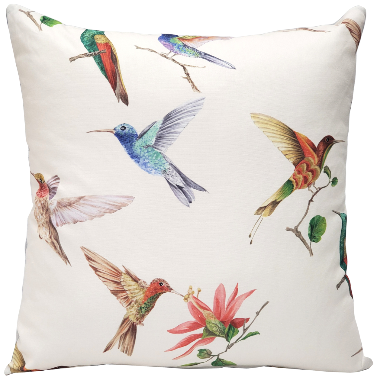 Monteverde Hummingbird Throw Pillow 21x21 Inches Square, Complete Pillow With Polyfill Pillow Insert