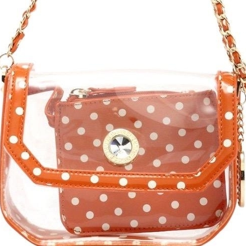 SCORE! Chrissy Small Designer Clear Crossbody Bag - Burnt Orange Sienna And White