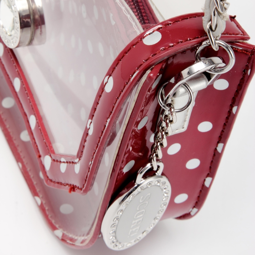 SCORE! Chrissy Small Designer Clear Crossbody Bag - Maroon And Silver