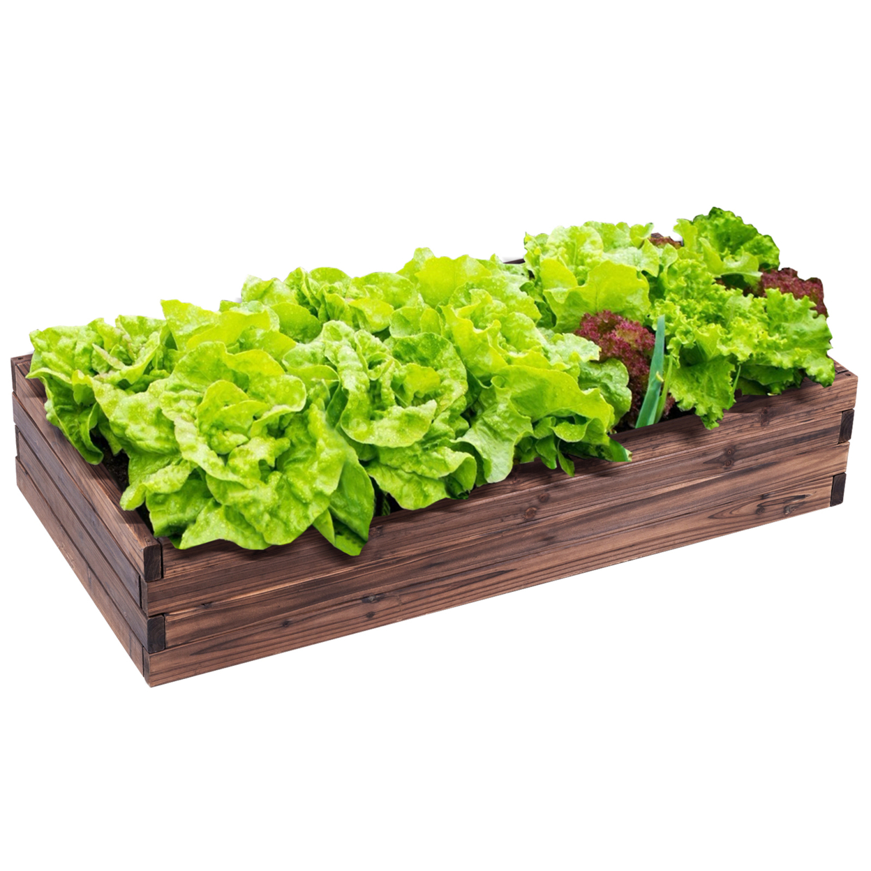 Wooden Raised Garden Bed Kit - Elevated Planter Box For Growing Herbs Vegetable