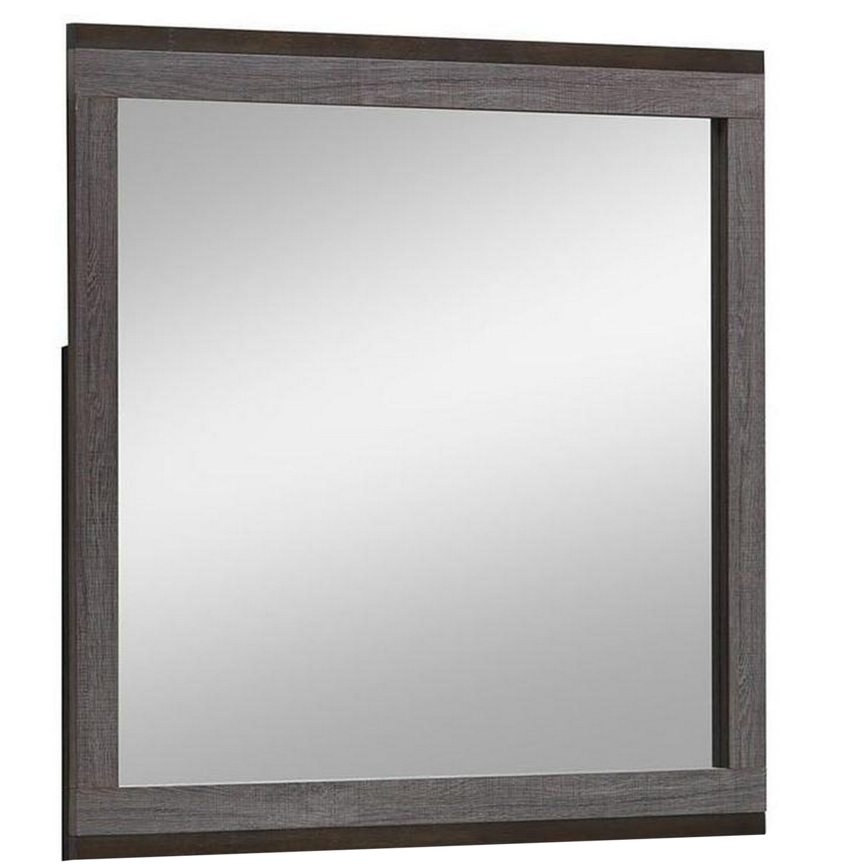 Manvel Contemporary Mirror, Two Tone Antique Gray- Saltoro Sherpi