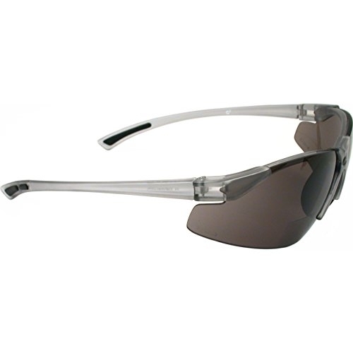 Radians C2-210 Bi-Focal Reading Safety Glasses With Smoke 1.0 Lens ALMA-81 SMOKE