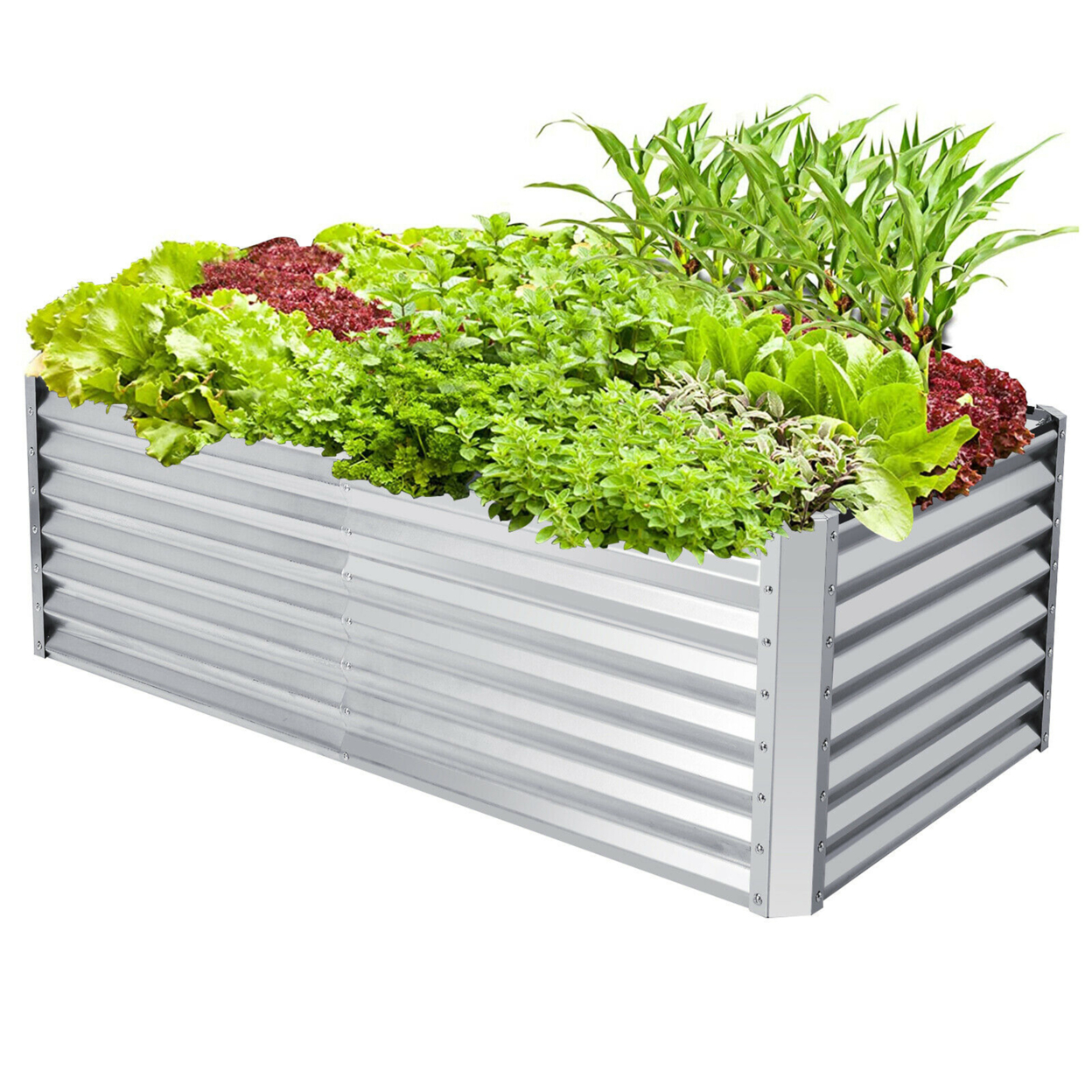 Raised Garden Bed Large Metal Planter Box Kit For Vegetable Herb 6' X 3' X 2'