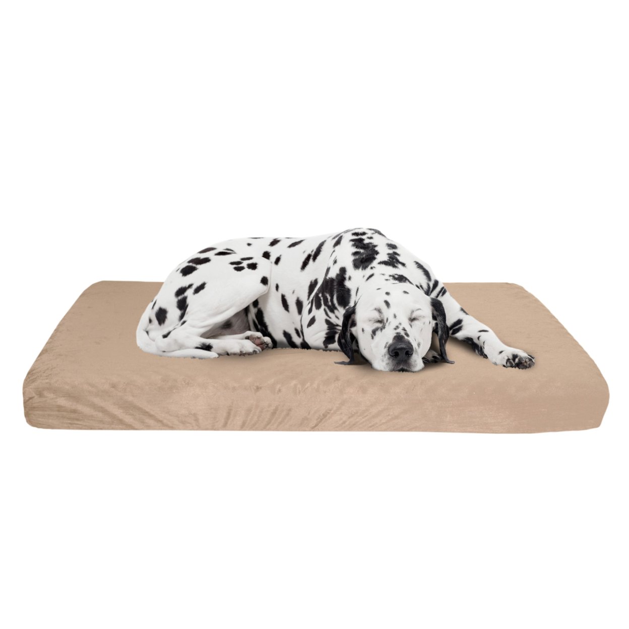 X-Large Orthopedic Memory Foam Dog Bed With Removable Cover 46 X 27 Inches
