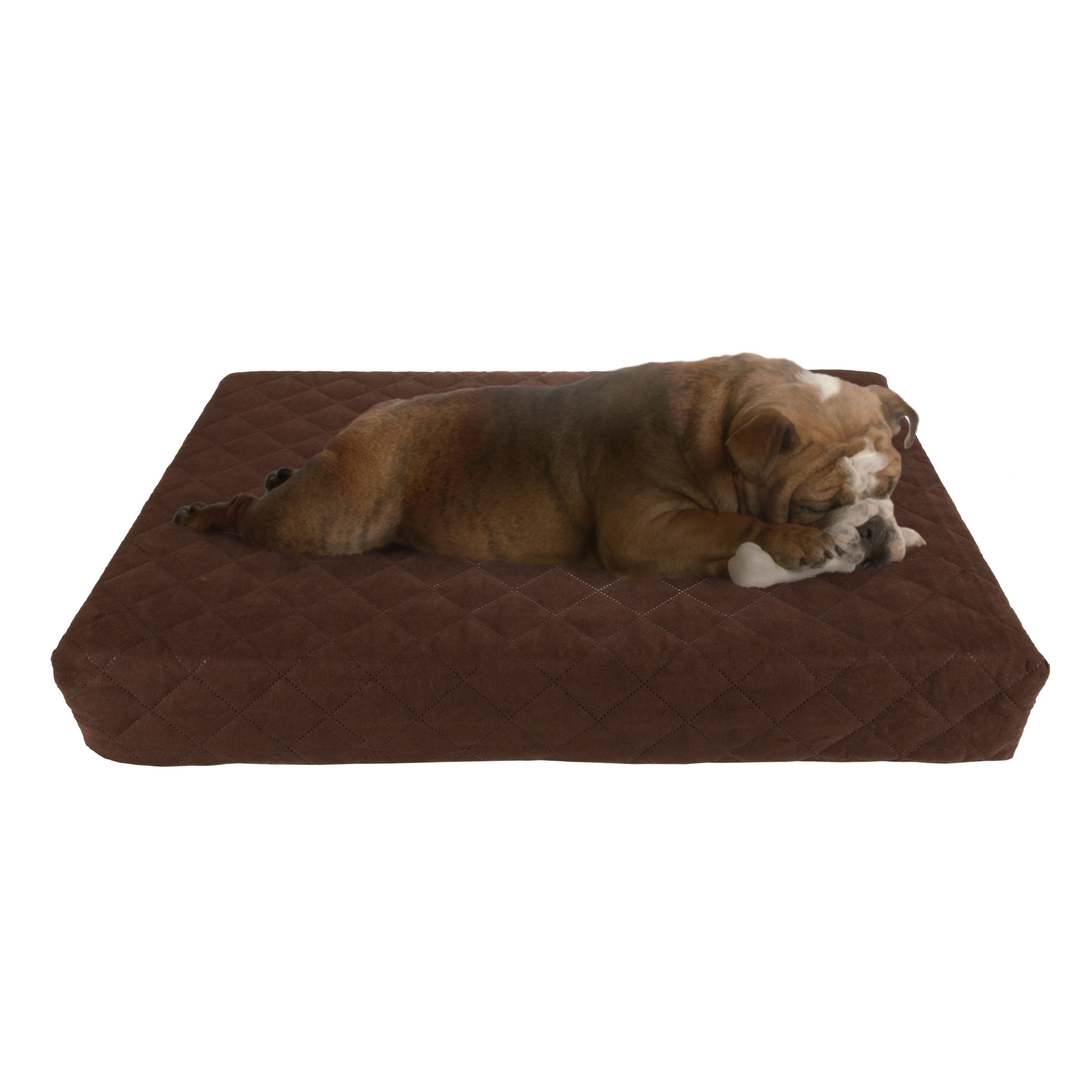 Waterproof Indoor Outdoor Memory Foam Orthopedic Small Medium Pet Dog Bed Removable Cover 20 X 30 Inches