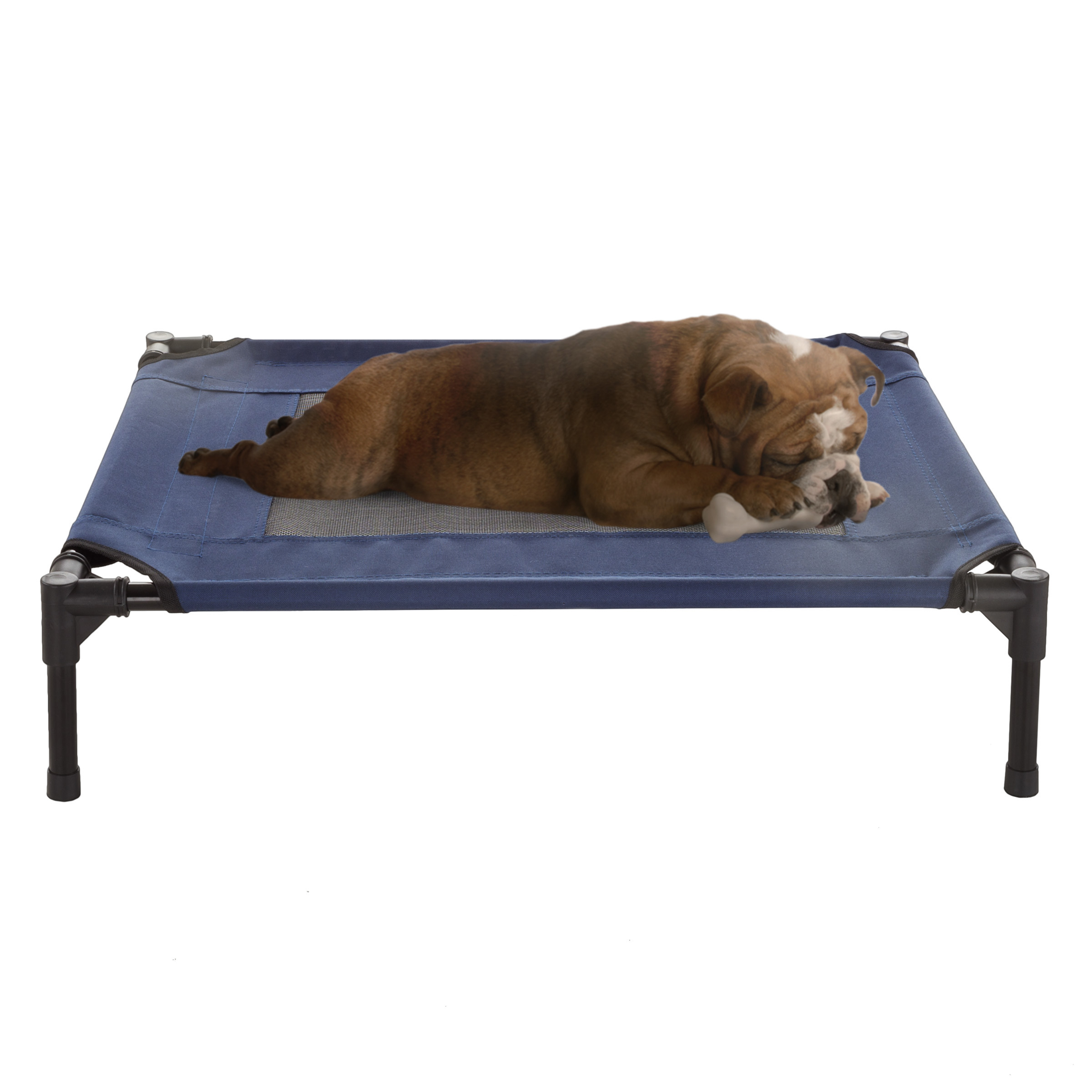 Small Med Dog Cat Bed Indoor Outdoor Raised Elevated Cot 30 X 24 Inch Camping Travel