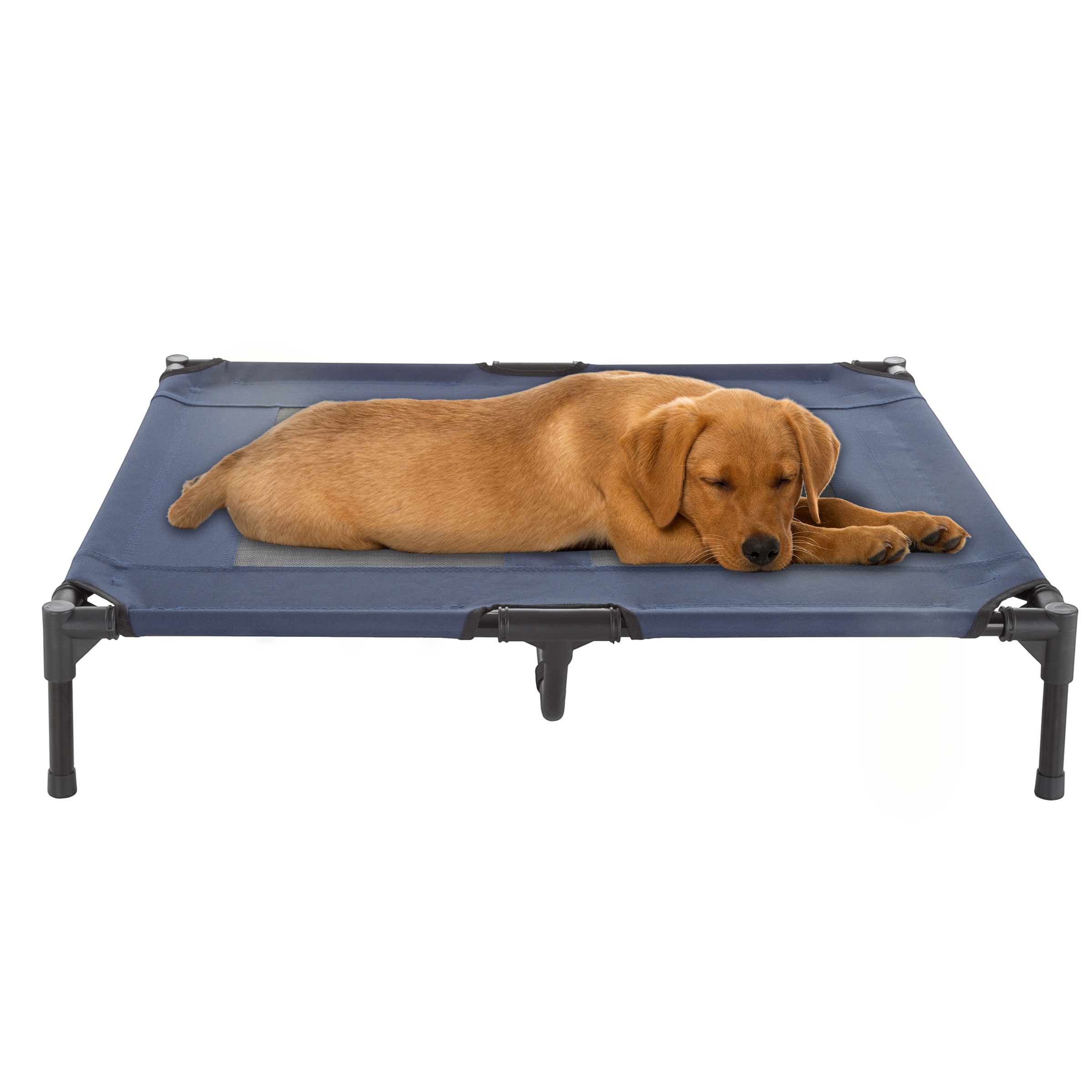 Med Large Dog Cat Bed Indoor Outdoor Raised Elevated Cot 36 X 29 Inch Camping Travel