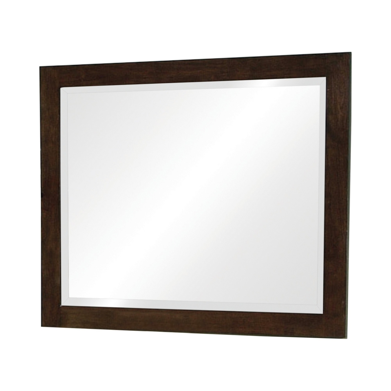 40 Inch Solid Wood Modern Mirror, Portrait, Framed, Cappuccino Brown