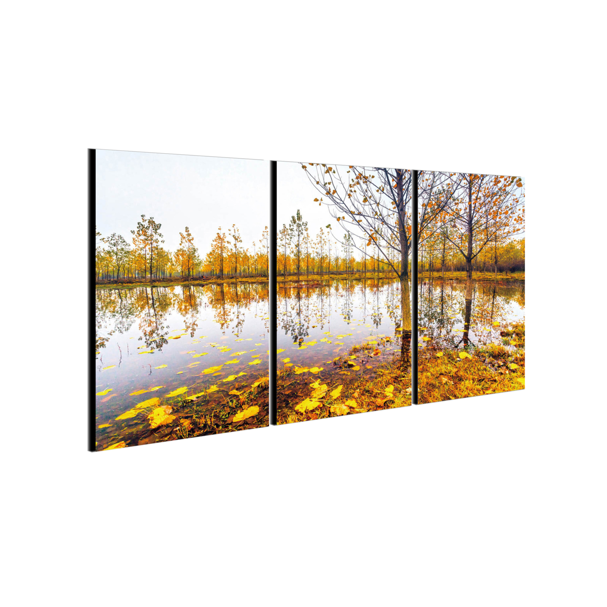 Falling Leaves 3 Piece Wrapped Canvas Wall Art Print 20x40.5 Inches
