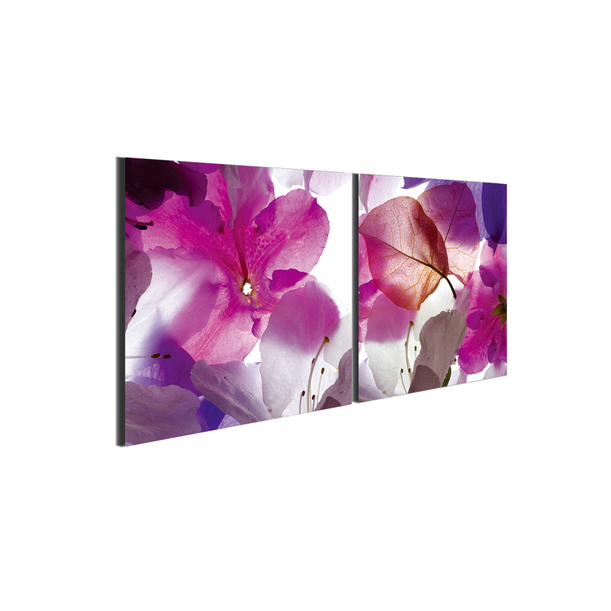 Orchid 2 Piece Wrapped Canvas Wall Art Print 27.5x55 Inches