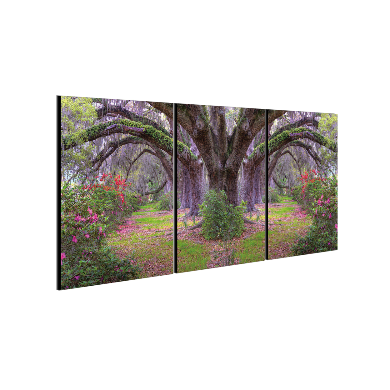 Lavender Cherry 3 Piece Wrapped Canvas Wall Art Print 27.5x60 Inches