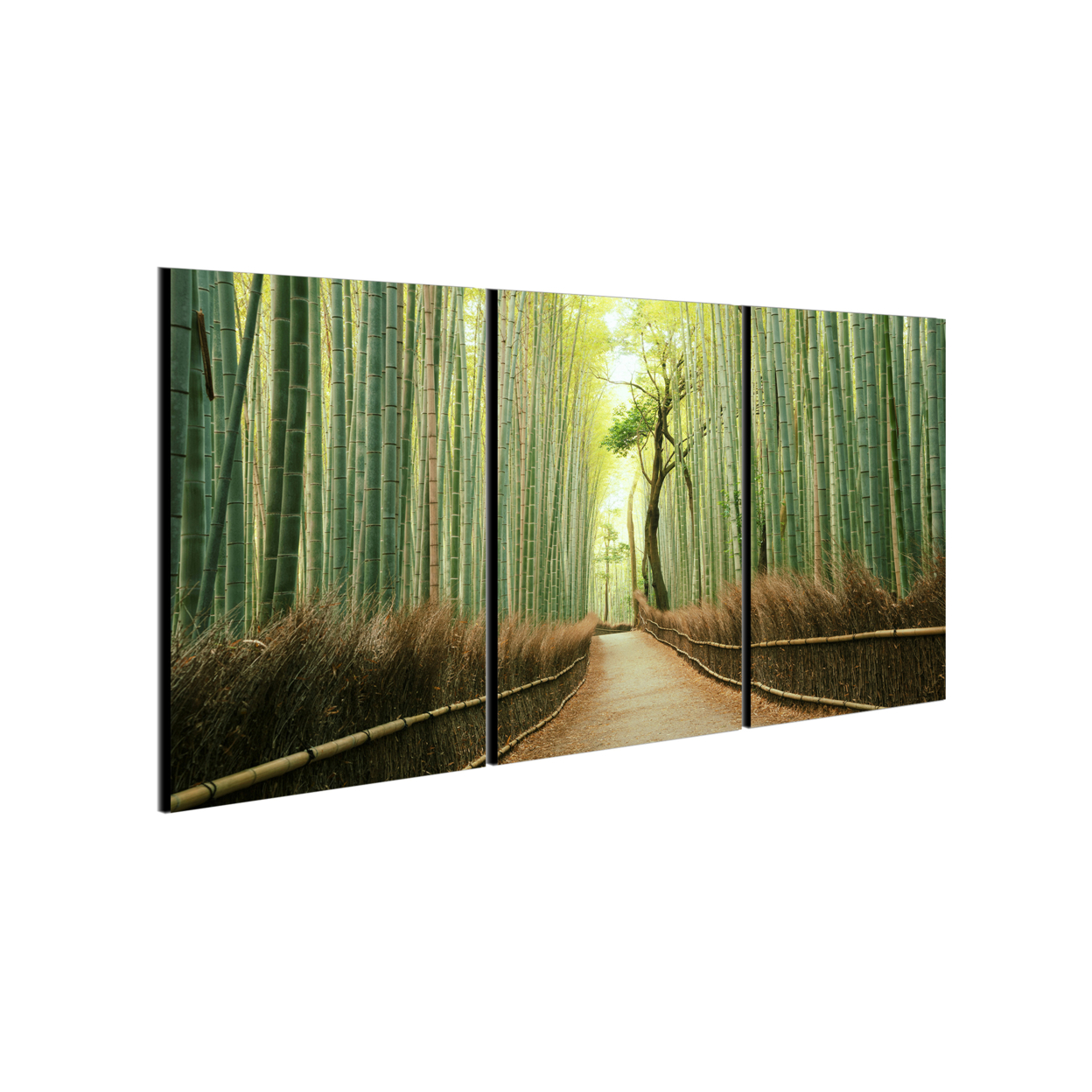 Pine Road 3 Piece Wrapped Canvas Wall Art Print 20x40.5 Inches