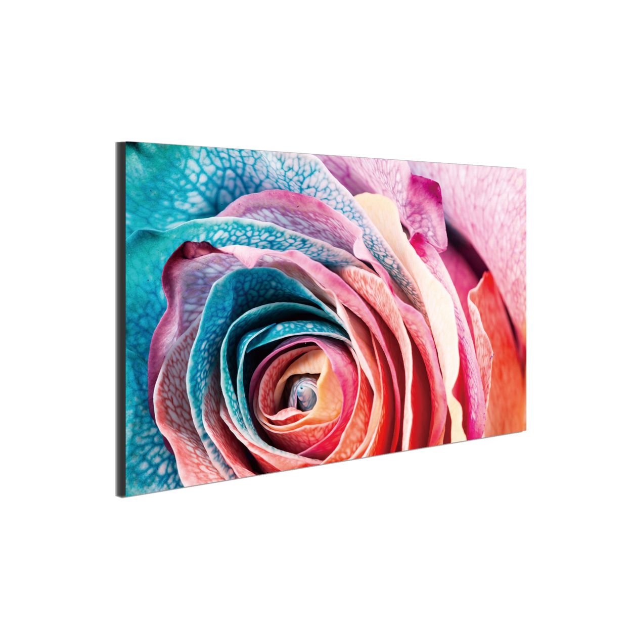Rosalia Wrapped Canvas Wall Art Print 47x31.5 Inches