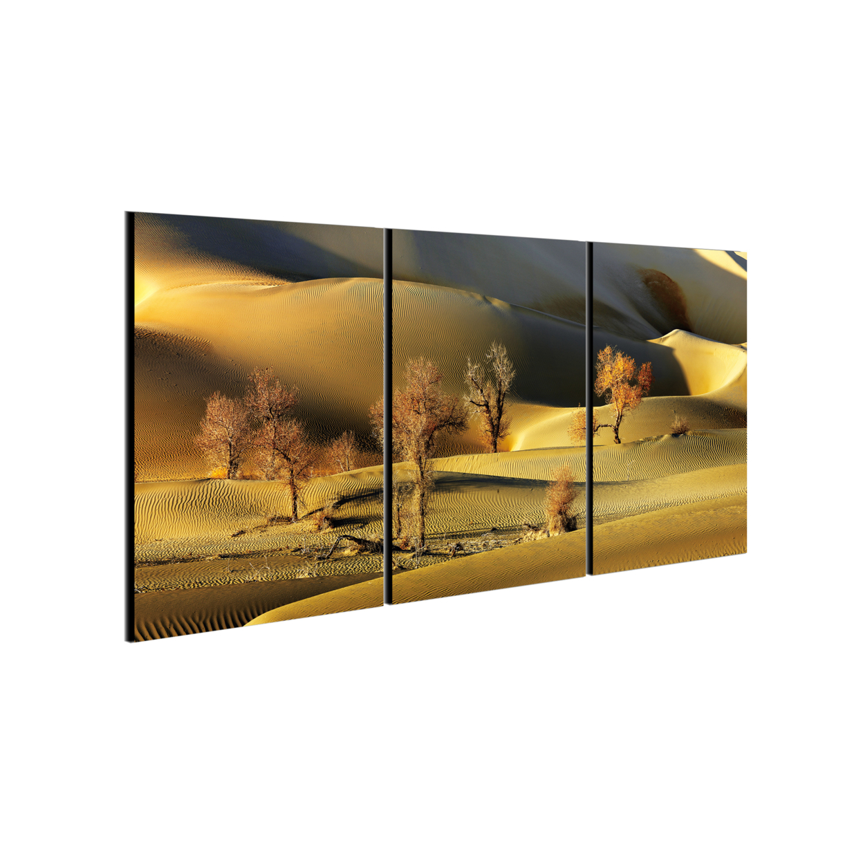 Golden Desert 3 Piece Wrapped Canvas Wall Art Print 20x40.5 Inches