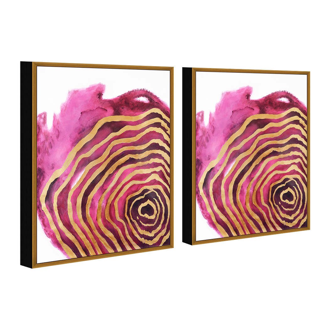 Golden Petal 2 Piece Framed Canvas Painting 20x31 Inches