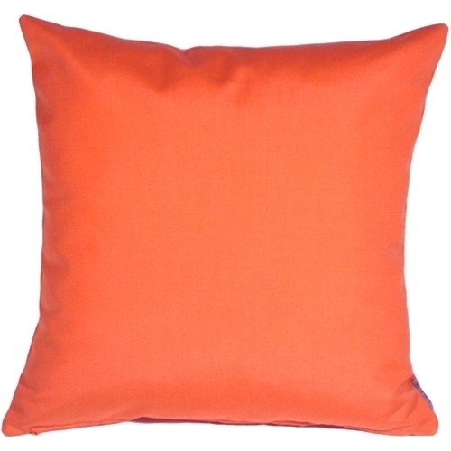 Pillow Decor - Sunbrella Melon 20x20 Outdoor Pillow
