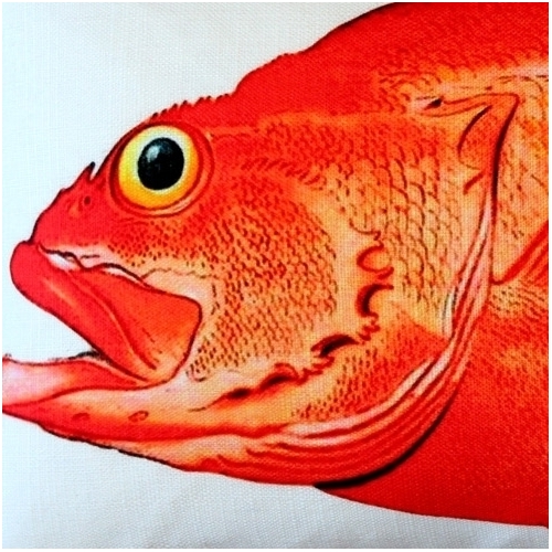 Pillow Decor - Rockfish Fish Pillow 12x19
