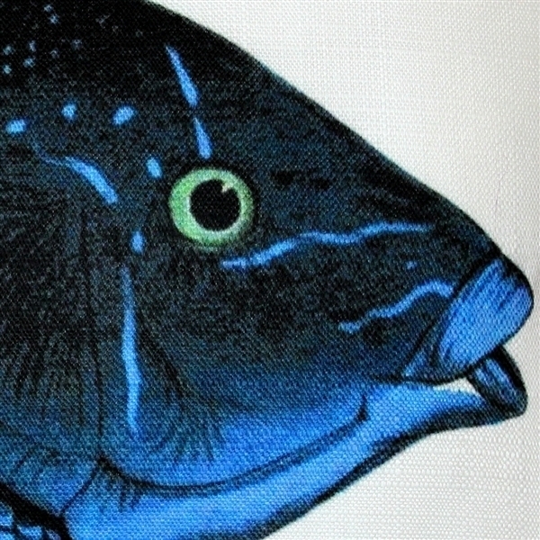Pillow Decor - Blue Wrasse Fish Pillow 12x19