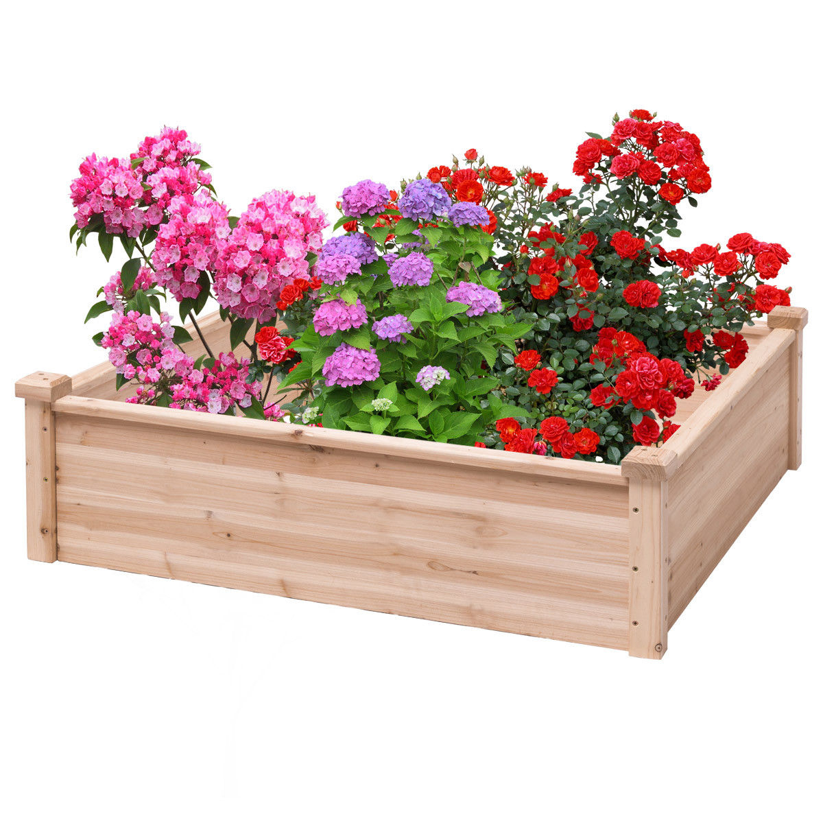 Wooden Garden Bed Vegetable Flower Raised Square Planter Kit Outdoor Garden