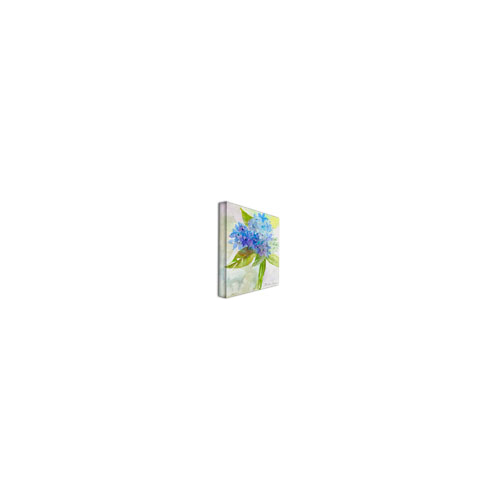 Wendra 'Hydrangea' Canvas Wall Art 35 X 47 Inches