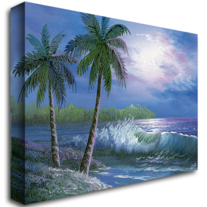 Rio 'Moonlight In Key Largo' Canvas Wall Art 35 X 47 Inches