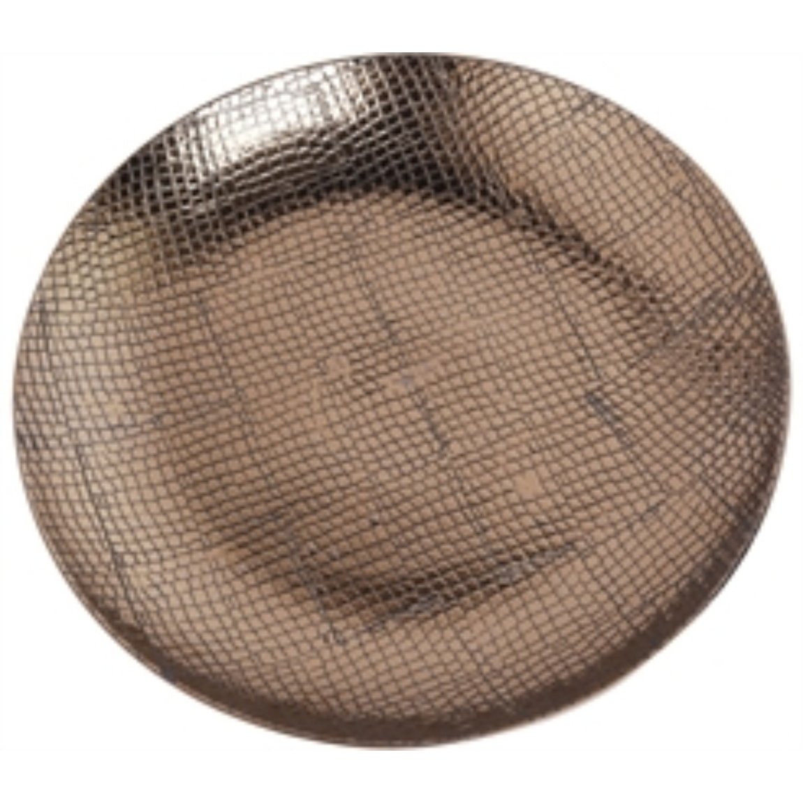 Ceramic Reptile Textured Decorative Plate, Brown- Saltoro Sherpi