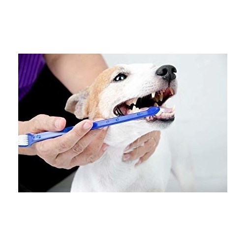 4 Pack Duke's Pet Products Dog Toothbrush Set Double Sided Canine Dental Hygiene Brushes