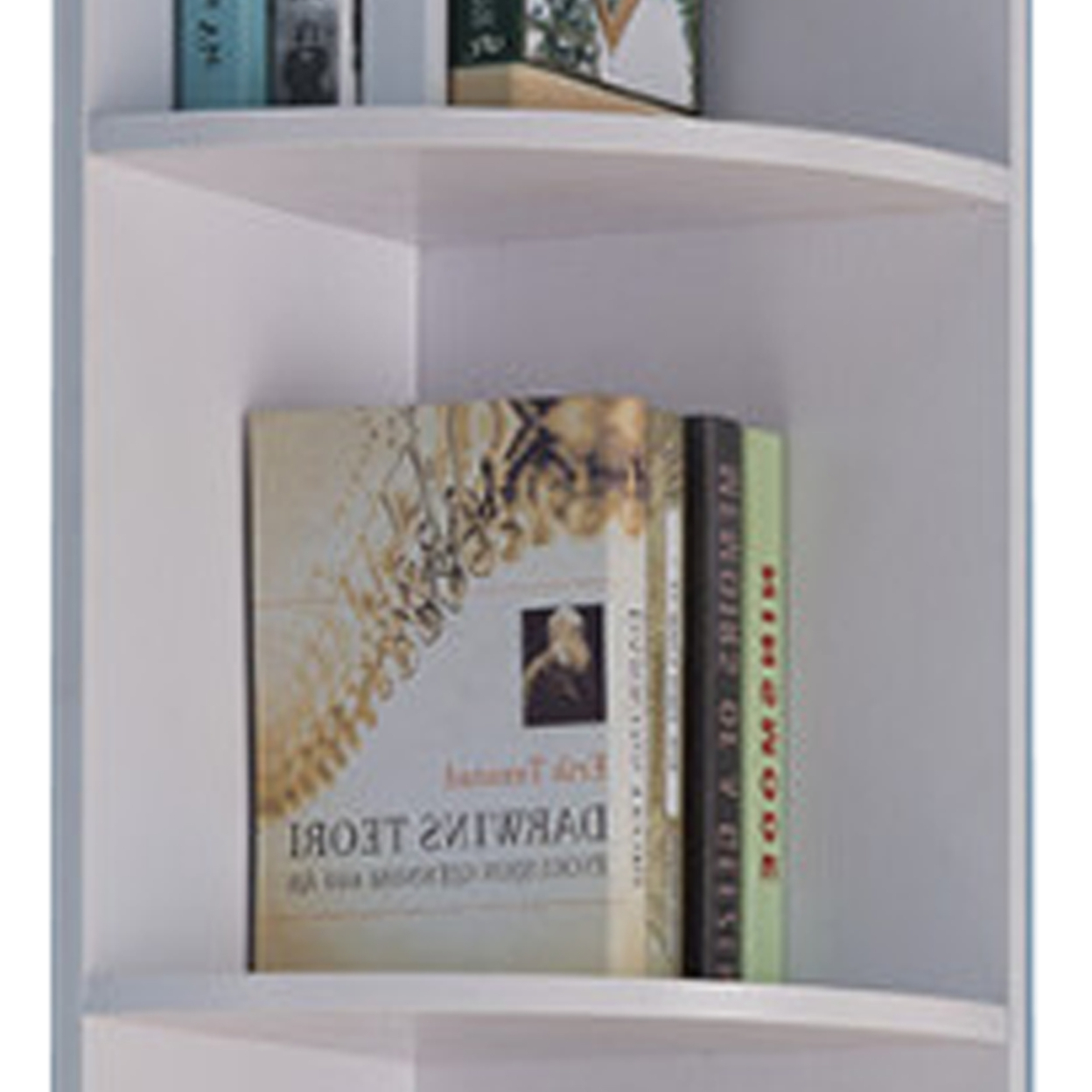 Wooden Corner Display Cabinet , White- Saltoro Sherpi