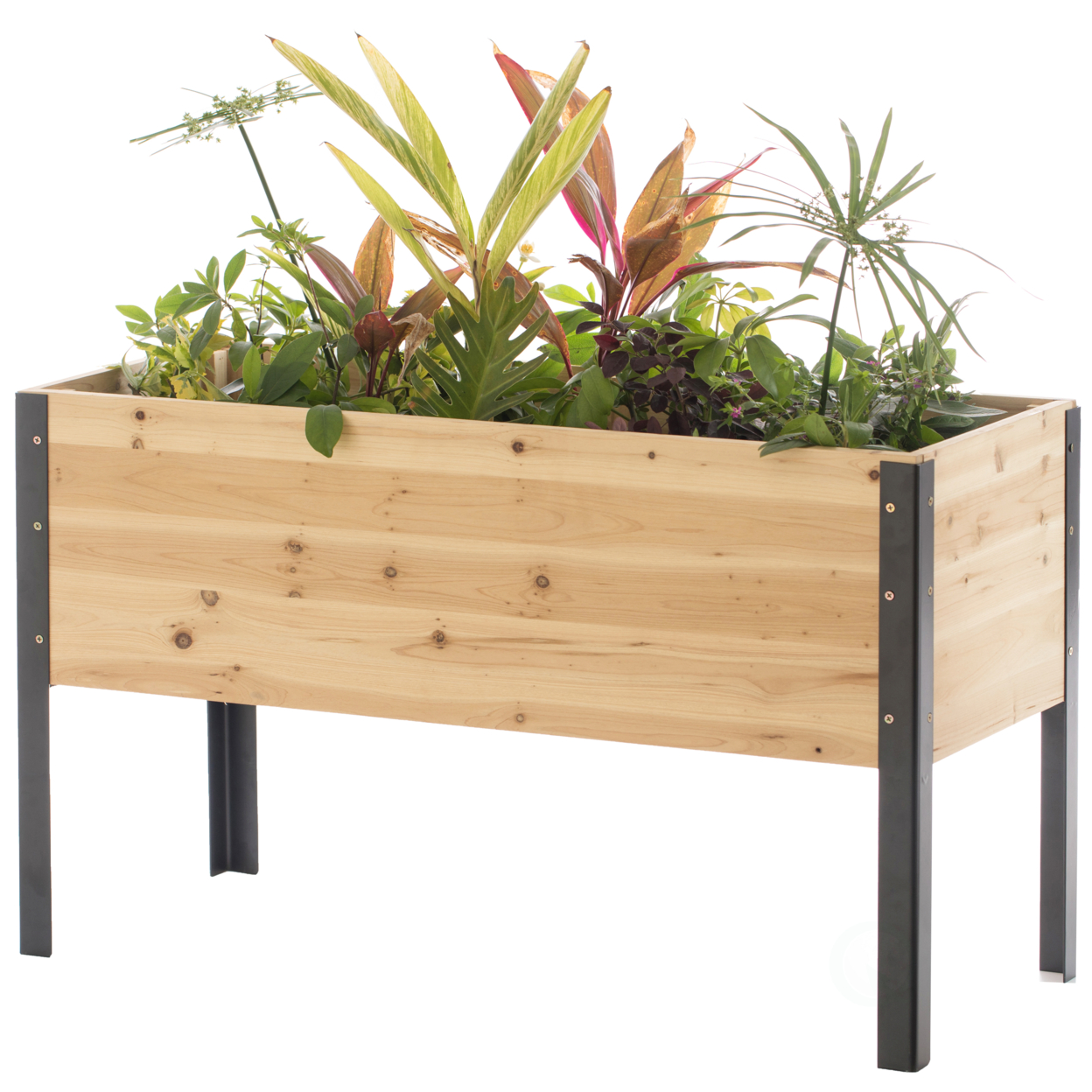 Elevated Outdoor Raised Rectangular Planter Bed Box Solid Wood with Steel Legs, Natural