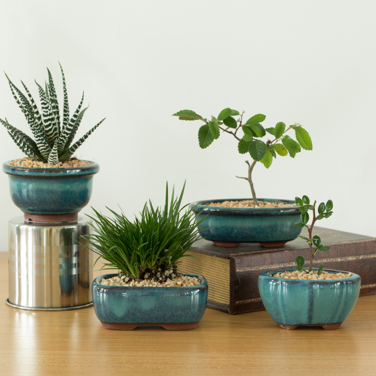 Decorative Mini Glazed Ceramic Bonsai Succulent Pots Flower Planter With Drainage Holes, 4 Pack
