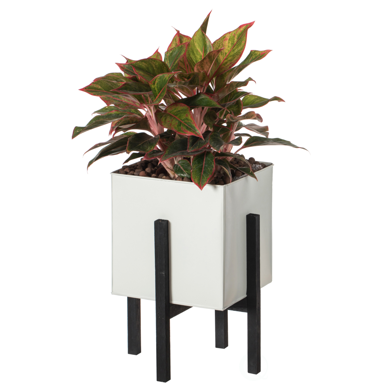 Indoor And Outdoor White Iron Planting Box With Black Wooden Frame - Large
