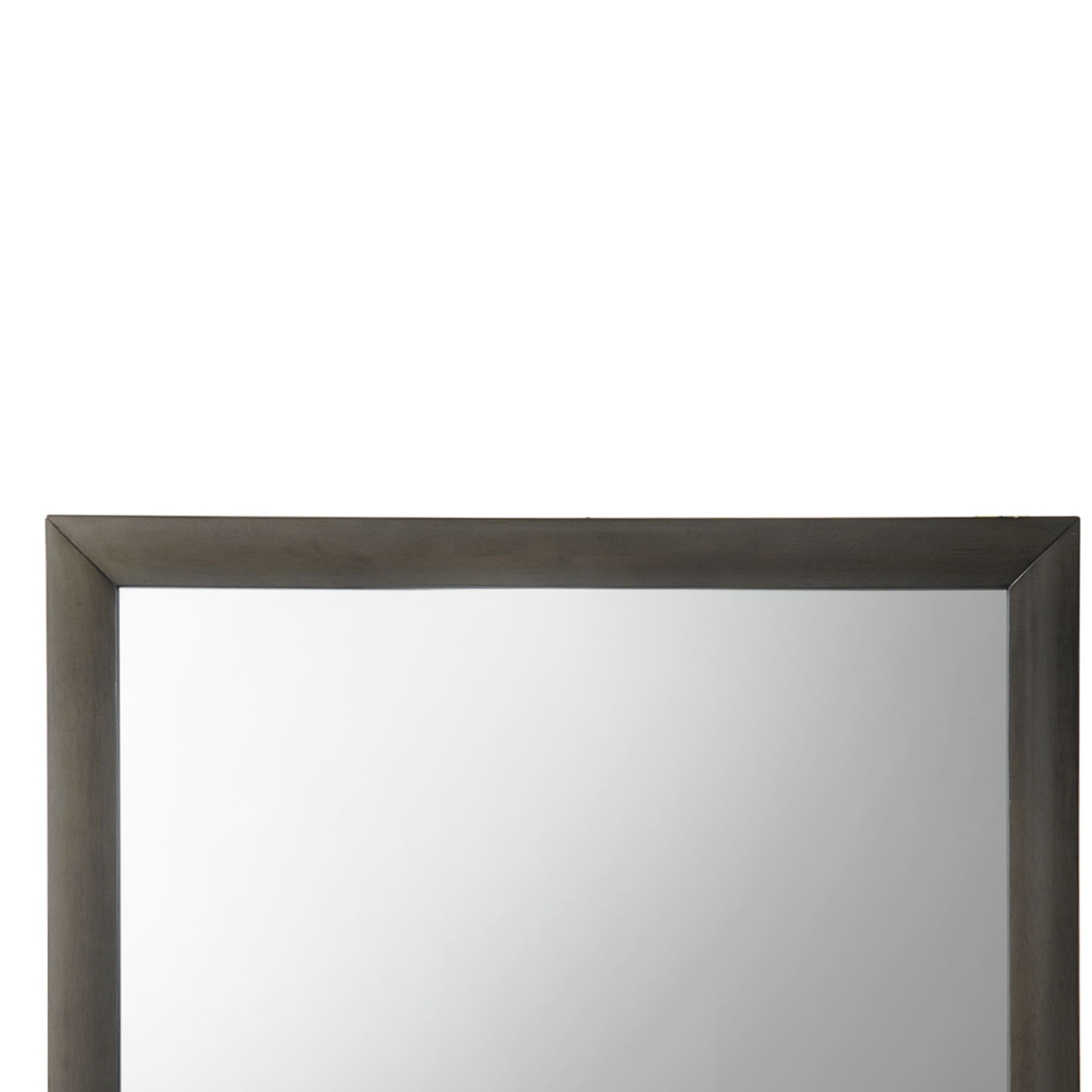 Transition Style Wooden Mirror With Rectangular Shape,Gray And Silver- Saltoro Sherpi