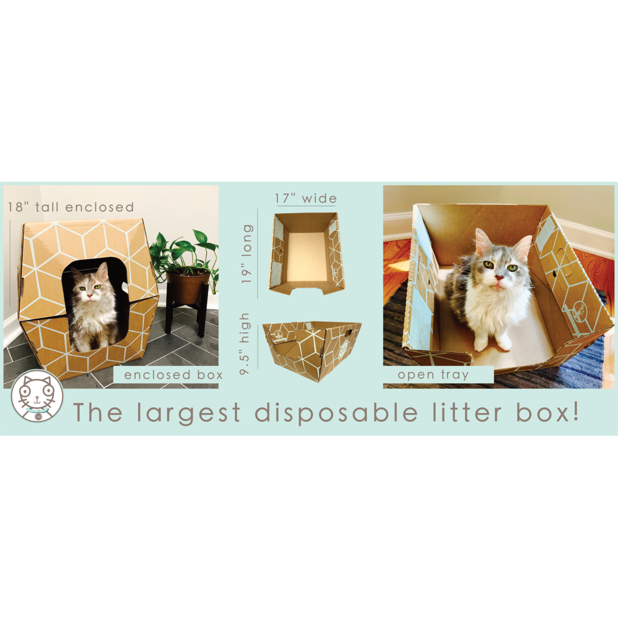 Cats Desire Litter Boxes