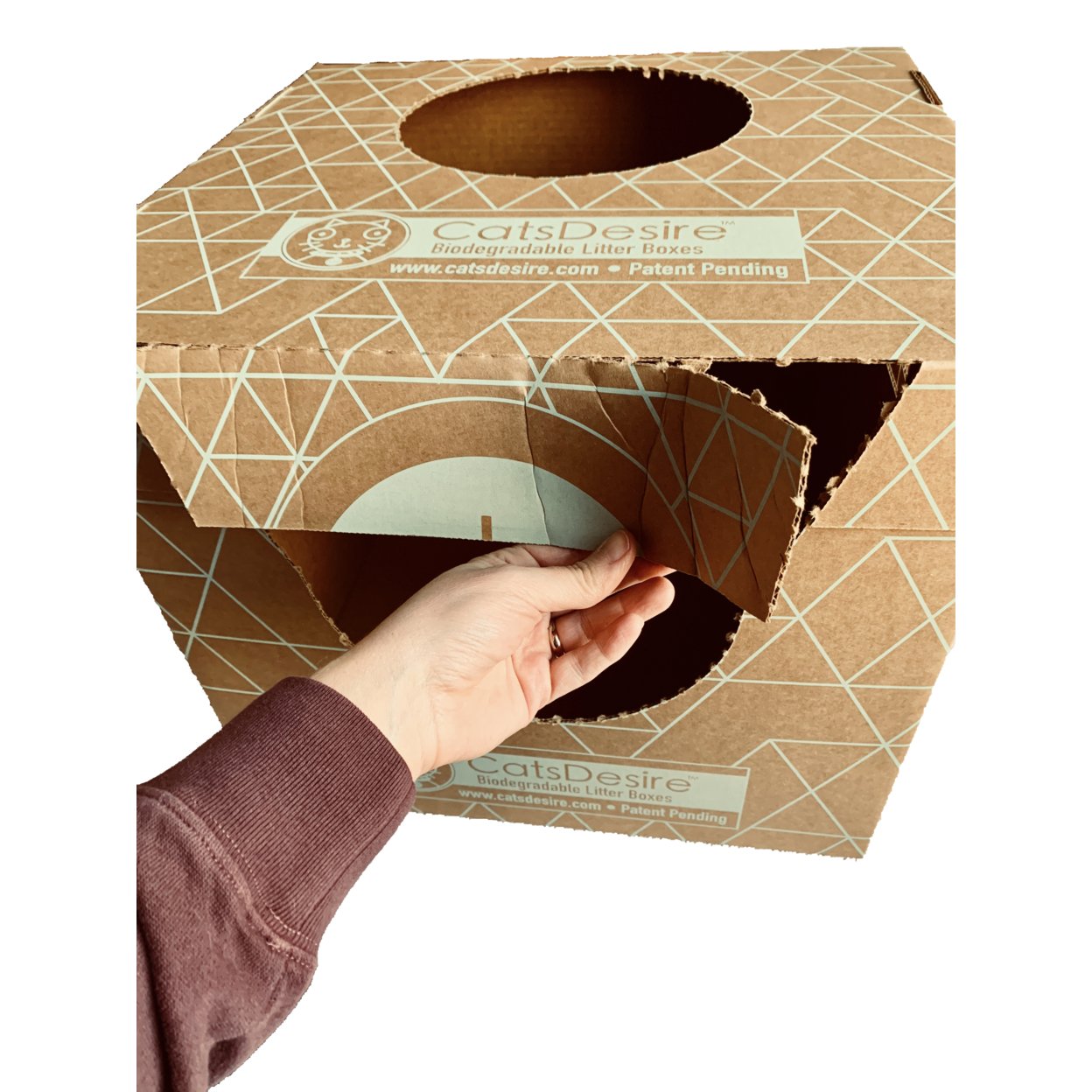 Cats Desire Disposable Biodegradable Top-Side Entry Litter Boxes
