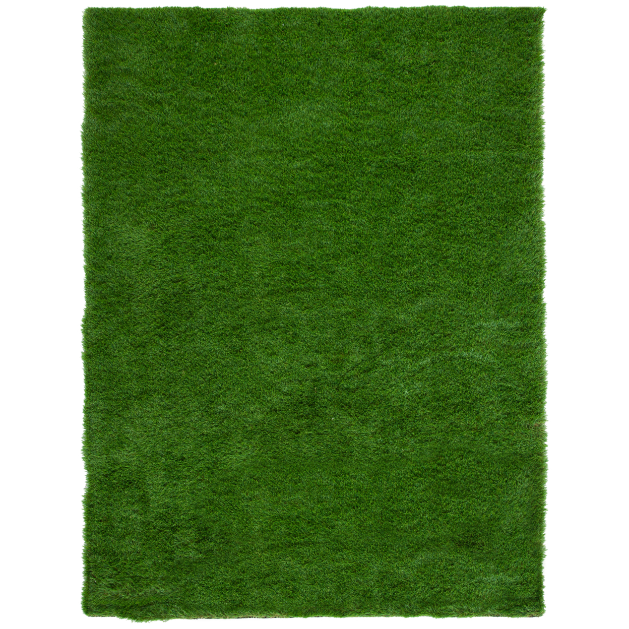 SAFAVIEH Indoor Outdoor VST100A Vista Collection Green Rug