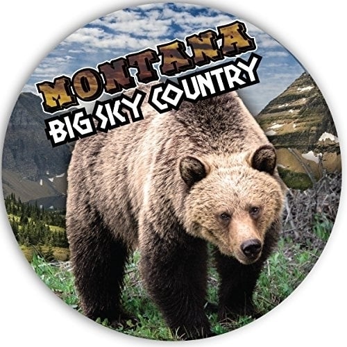 Montana Big Sky Country Bear State Souvenir Beverage Paper Coasters 4 Pack