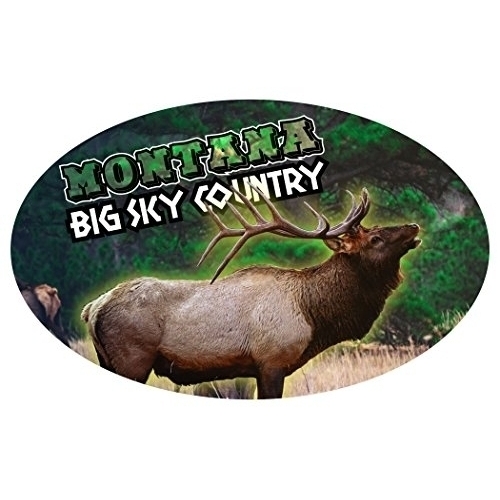 R And R Imports Montana Big Sky Country Elk State Souvenir Oval Magnet
