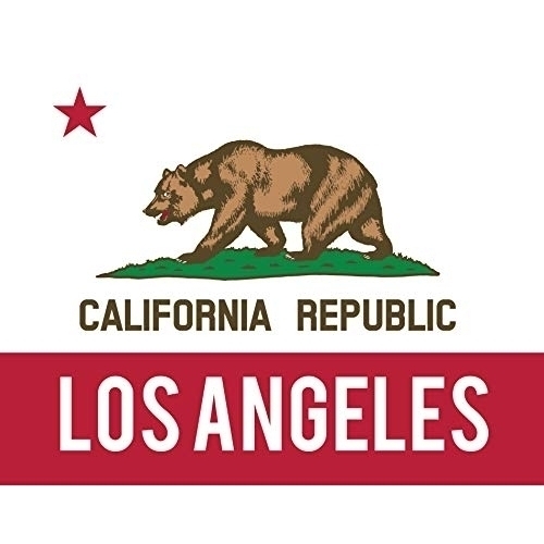 Los Angeles California West Coast Trendy Souvenir 5x6 Inch Sticker Decal