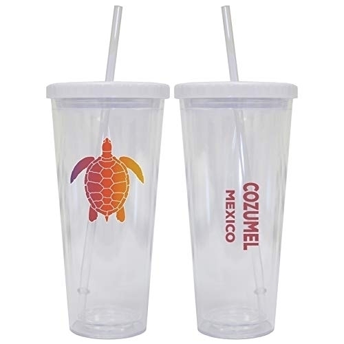 Cozumel Mexico Souvenir 24 Oz Reusable Plastic Tumbler With Straw And Lid