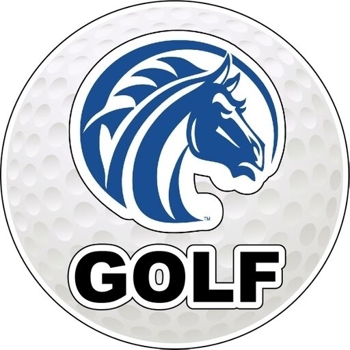 Fayetteville State University 4-Inch Round Golf Ball Vinyl Decal Sticker