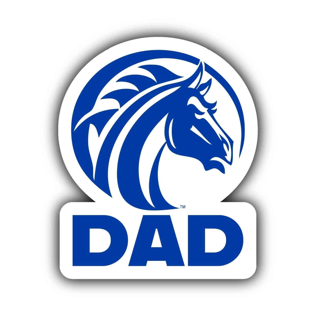 Fayetteville State University 4-Inch Proud Dad Die Cut Decal