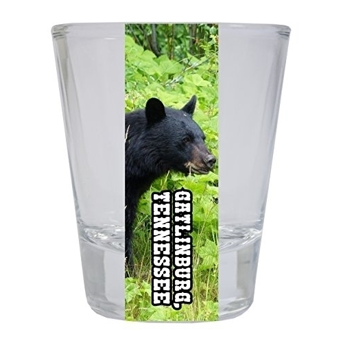 Gatlinburg Tennessee Souvenir Great Smoky Mountains Bear Round Shot Glass