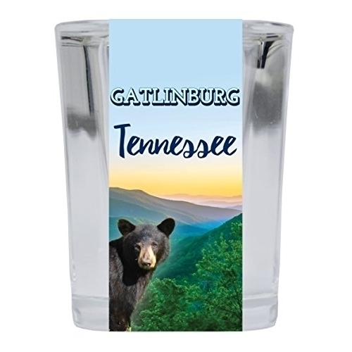 Gatlinburg Tennessee Square Shot Glass