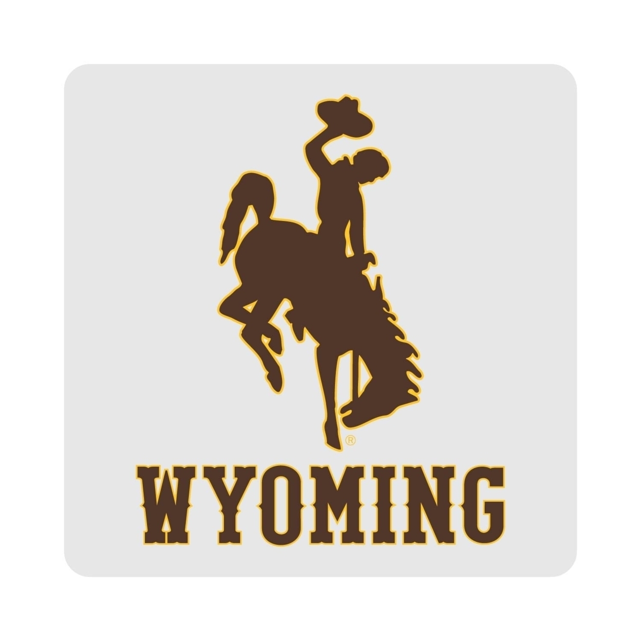 University Of Wyoming Coasters Choice Of Marble Of Acrylic - Acrylic (4-Pack)