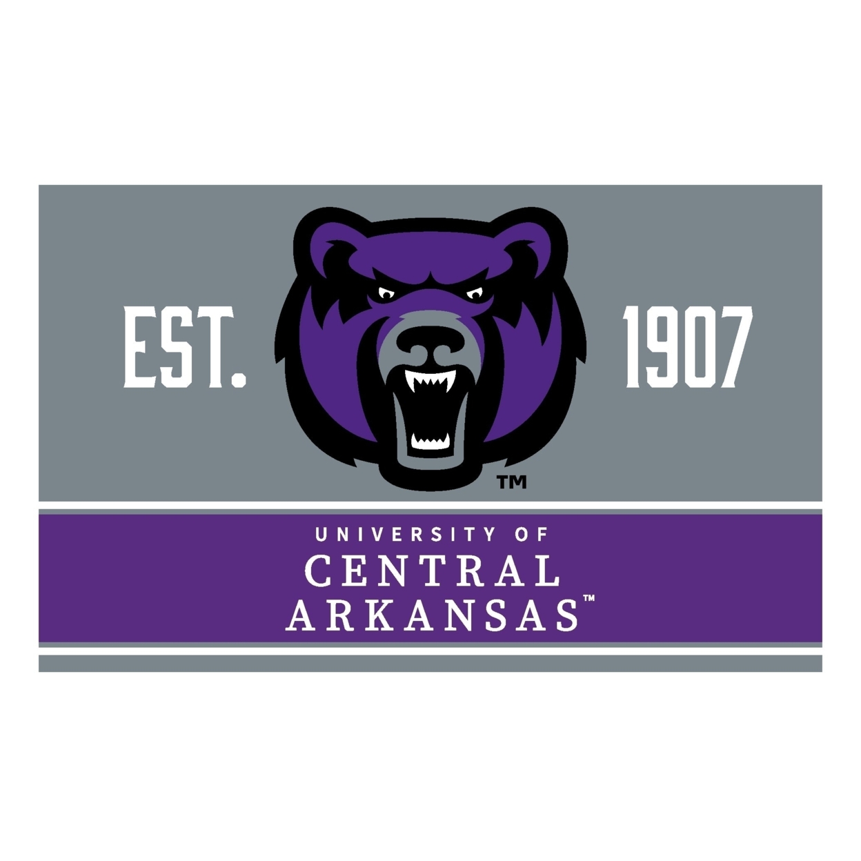 R And R Imports Central Arkansas Bears Wood Sign With Frame