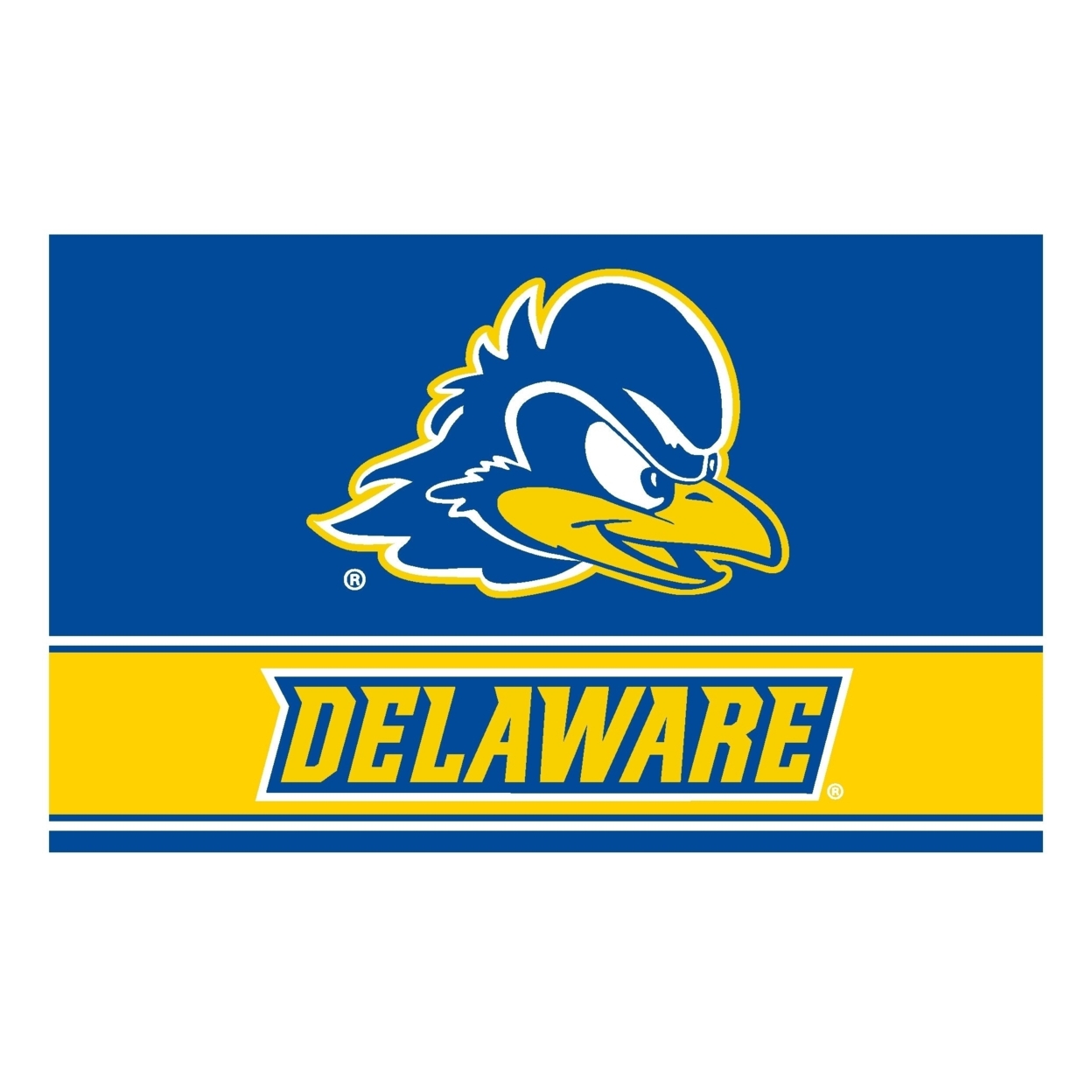 R And R Imports Delaware Blue Hens Wood Sign With Frame