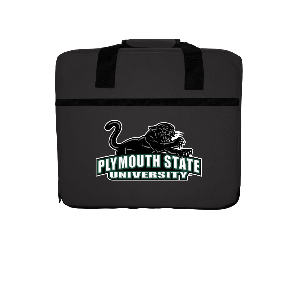 R And R Imports Plymouth State University Double Sided Seat Cushion