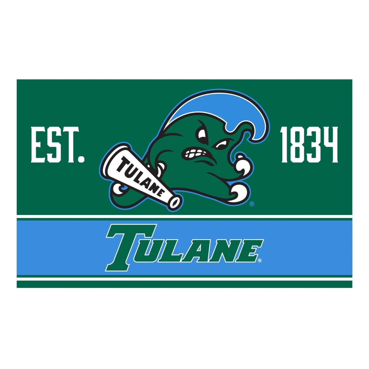 R And R Imports Tulane University Green Wave Wood Sign With Frame