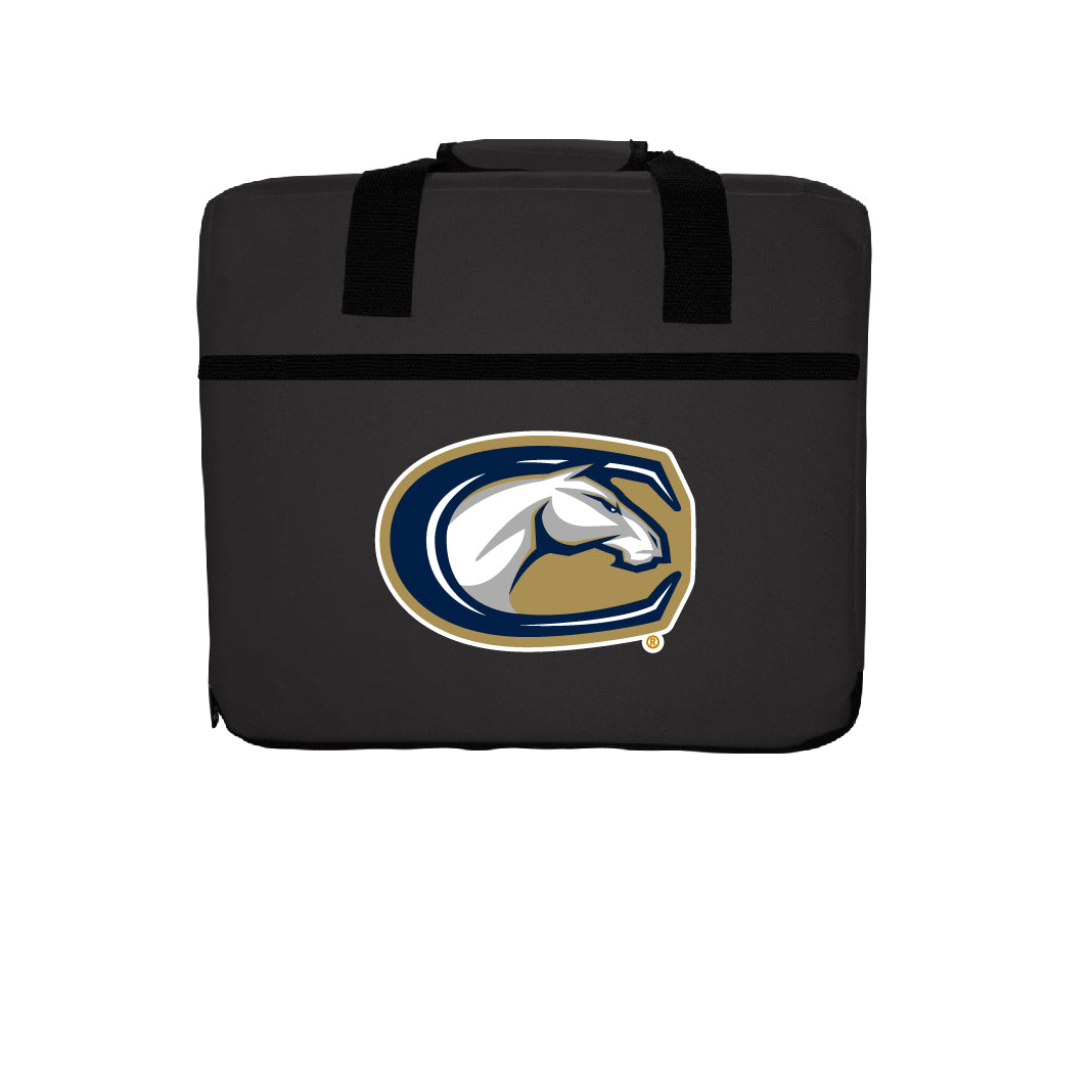 R And R Imports UC Davis Aggies Double Sided Seat Cushion